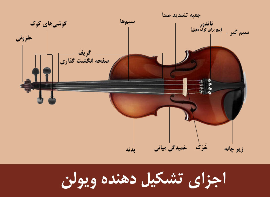 اجزای ویولن